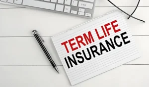 Term Life Insurance Plans in India: Complete Guide to Choosing the Best Policy