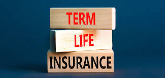 best life insurance policy in India
