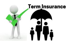 low premium term plan