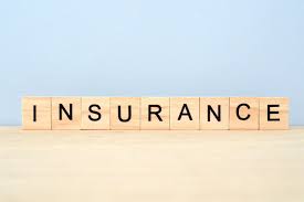 pure term insurance
