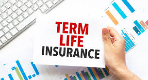 Best Term Insurance in India: Complete Guide to Choosing the Right Plan best term insurance in India