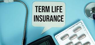 Term Insurance for Salaried Person: Complete Guide for Financial Security in India term insurance for salaried person