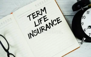 Pure Term Insurance in India: A Complete Guide to Smart Financial Protection