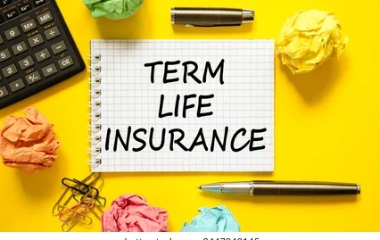 low premium term plan